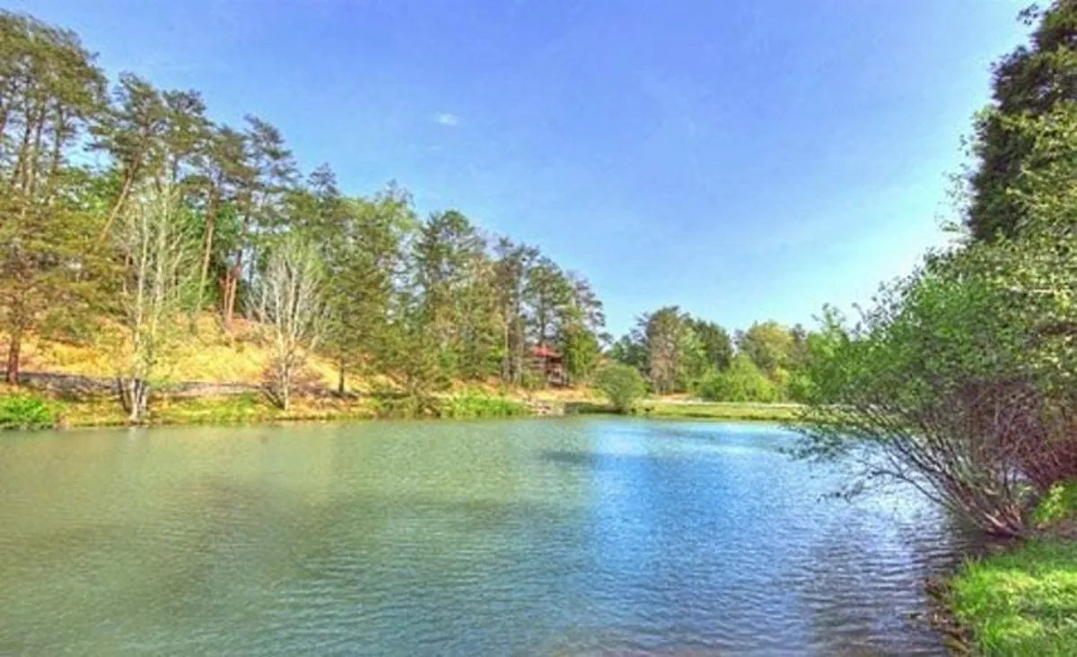 This image features a serene pond surrounded by lush trees and a tranquil shoreline. The calm water surface reflects the sky and greenery, creating a peaceful, natural setting ideal for picnicking, fishing, or simply relaxing by the water's edge.