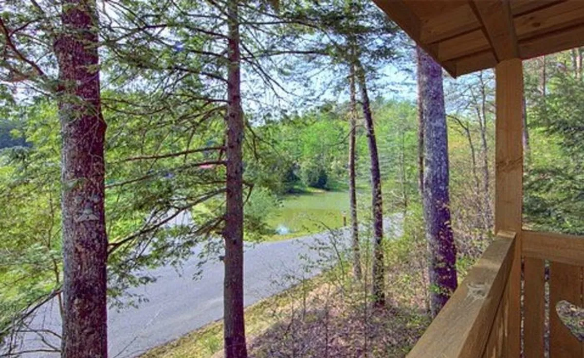 A broad view of trees and a shimmering water body, with a tranquil road meandering nearby. The scene is immersed in nature, suggesting opportunities for sunrise viewing, lakeside walks, fishing, and observing wildlife in a quiet, scenic environment.